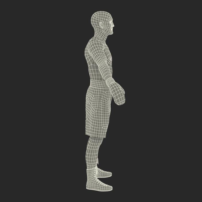 Adult Boxer Man Rigged 2 3D model