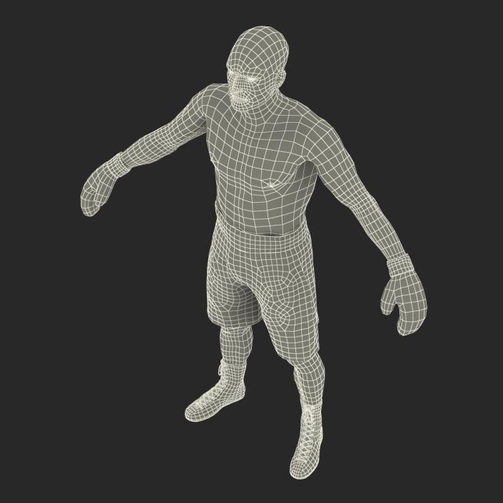 Adult Boxer Man Rigged 2 3D model