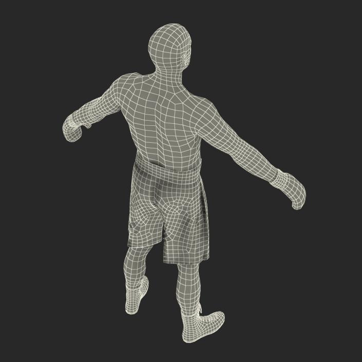 Adult Boxer Man Rigged 2 3D model