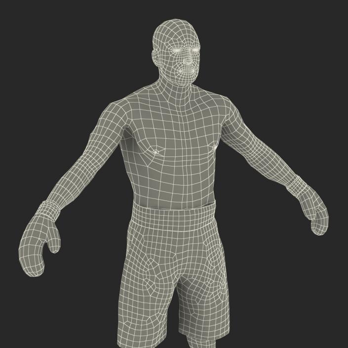 Adult Boxer Man Rigged 2 3D model