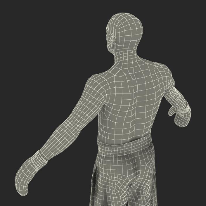 Adult Boxer Man Rigged 2 3D model