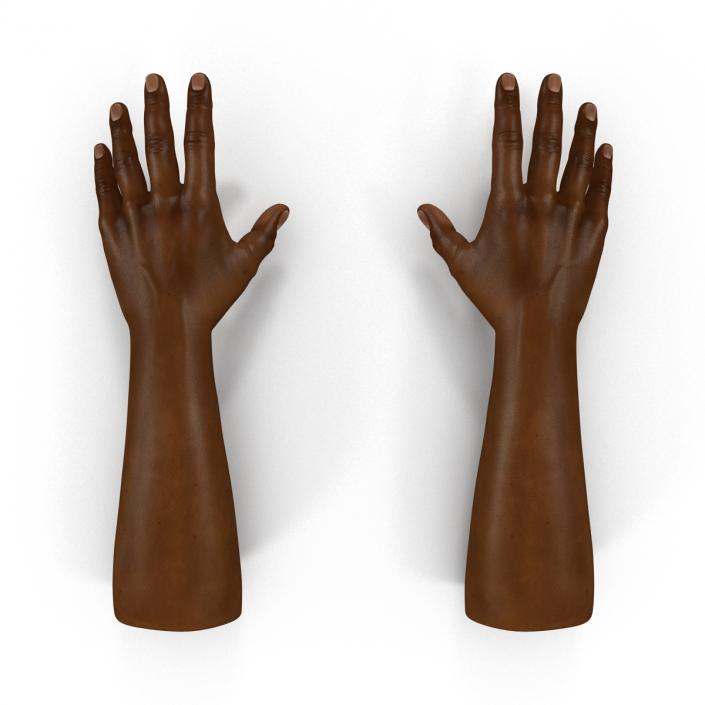 African Man Hands Rigged 3D model