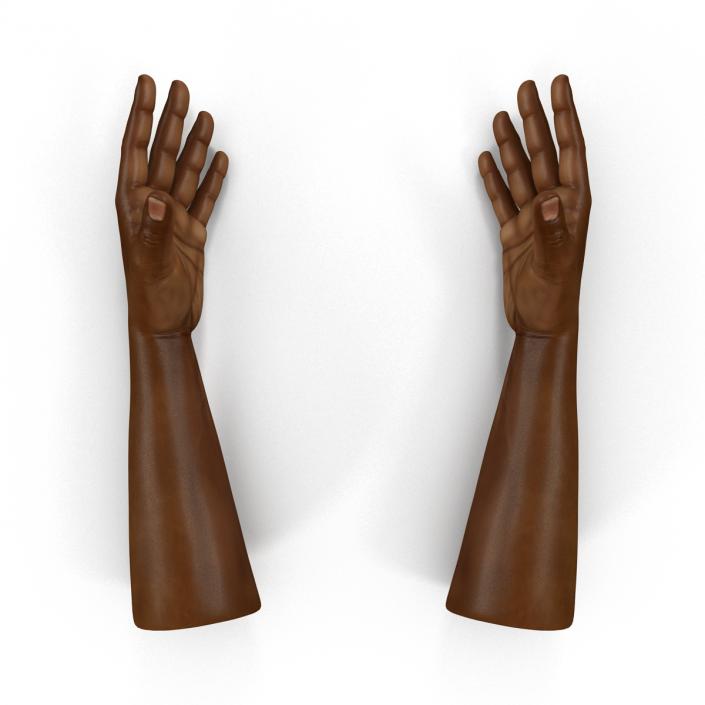 African Man Hands Rigged 3D model