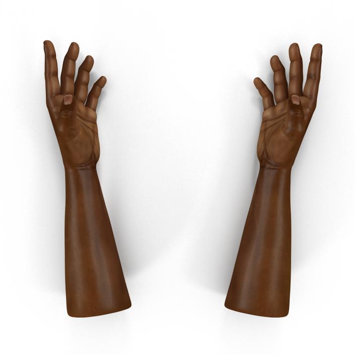 African Man Hands Rigged 3D model