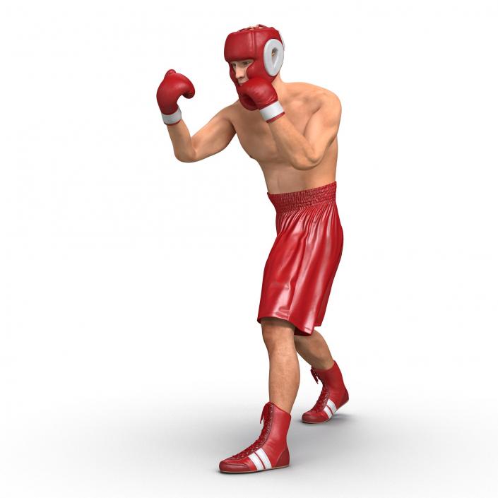 3D Boxer Man Rigged