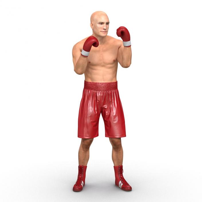 3D Boxer Man Rigged