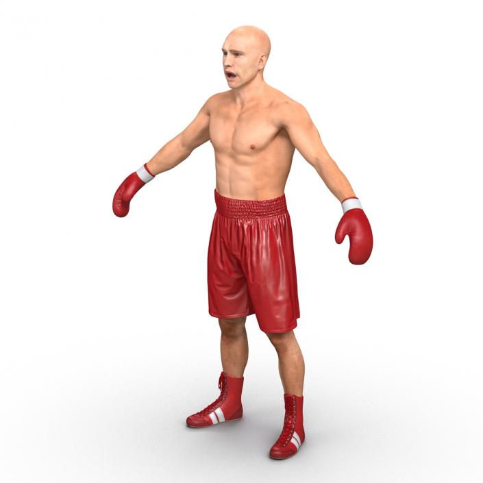 3D Boxer Man Rigged