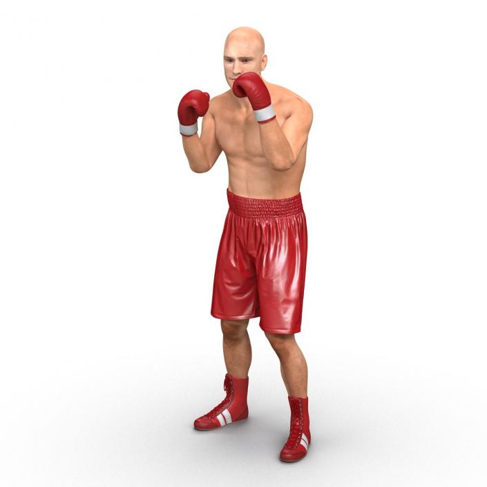 3D Boxer Man Rigged