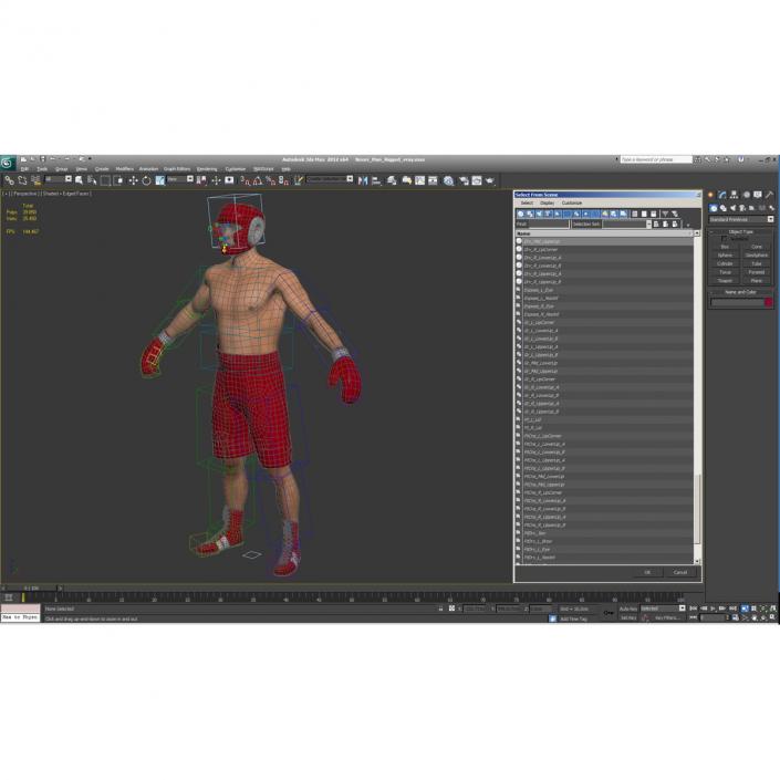 3D Boxer Man Rigged