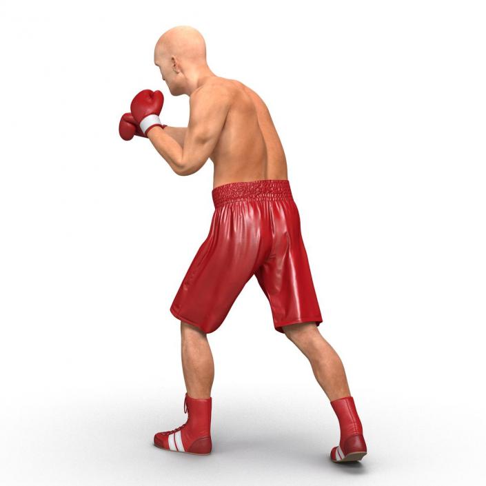 3D Boxer Man Rigged 2 model