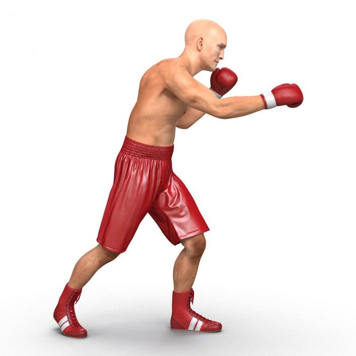 3D Boxer Man Rigged 2 model