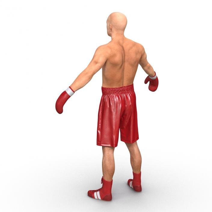 3D Boxer Man Rigged 2 model