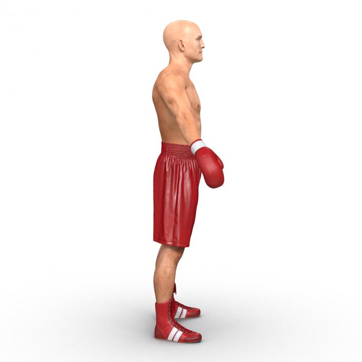 3D Boxer Man Rigged 2 model