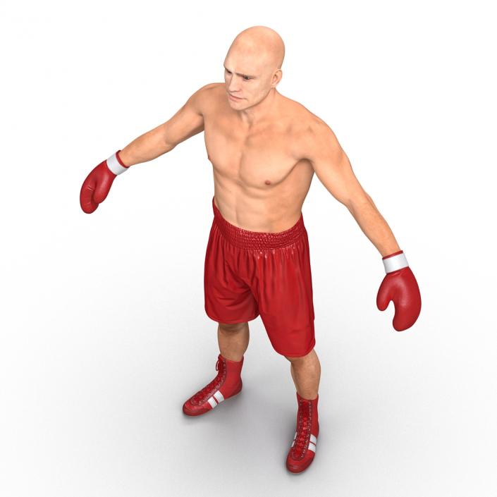 3D Boxer Man Rigged 2 model