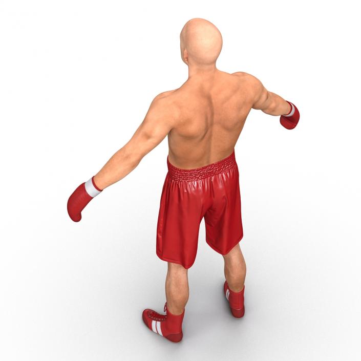 3D Boxer Man Rigged 2 model