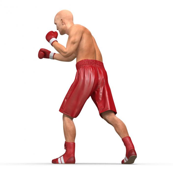 3D Boxer Man Rigged 2 model