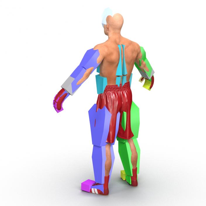 3D Boxer Man Rigged 2 model