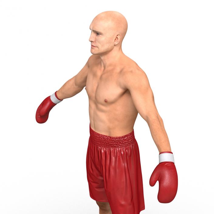 3D Boxer Man Rigged 2 model