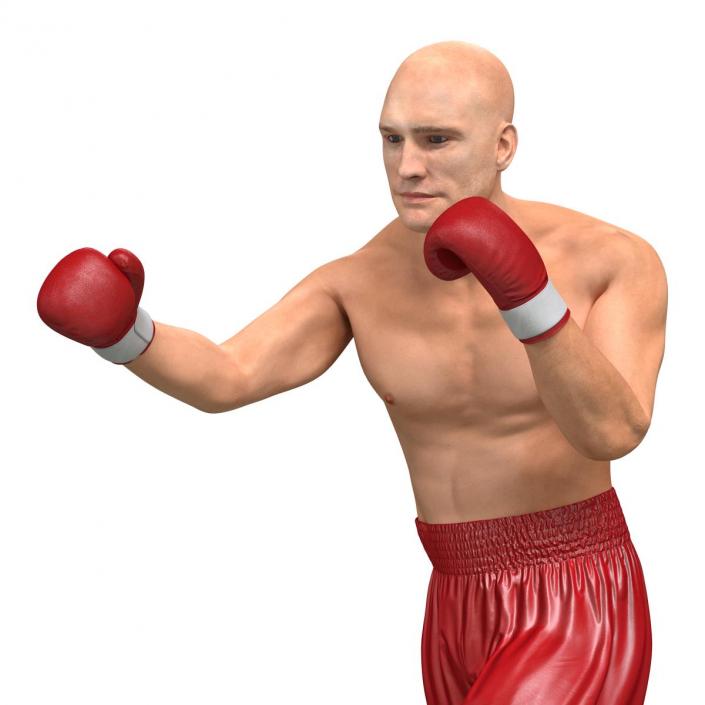 3D Boxer Man Rigged 2 model