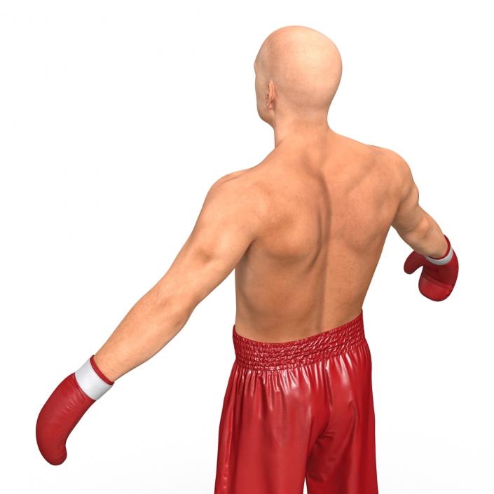 3D Boxer Man Rigged 2 model