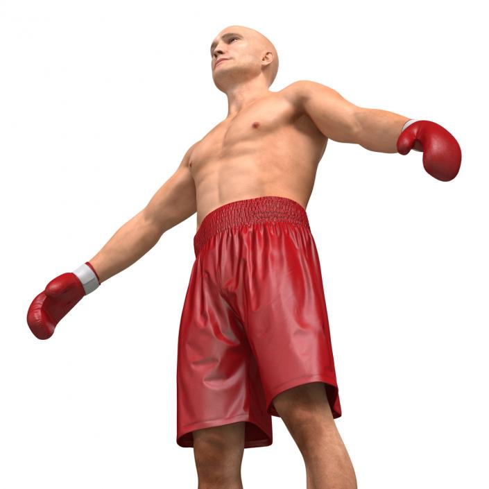 3D Boxer Man Rigged 2 model