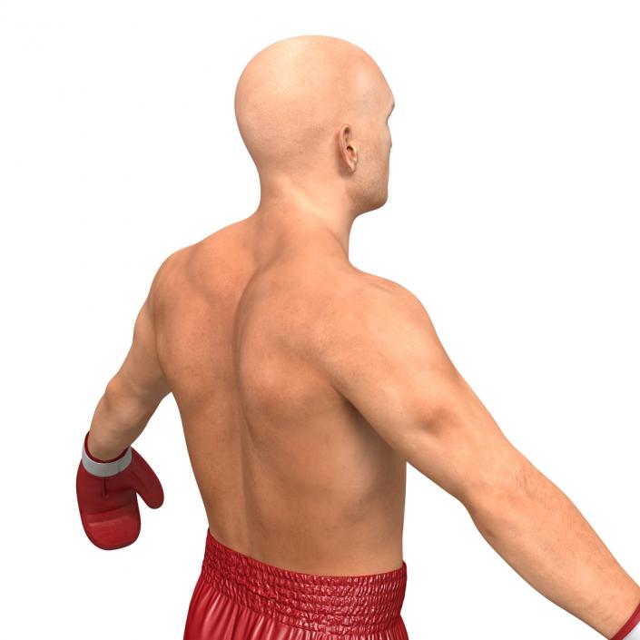 3D Boxer Man Rigged 2 model