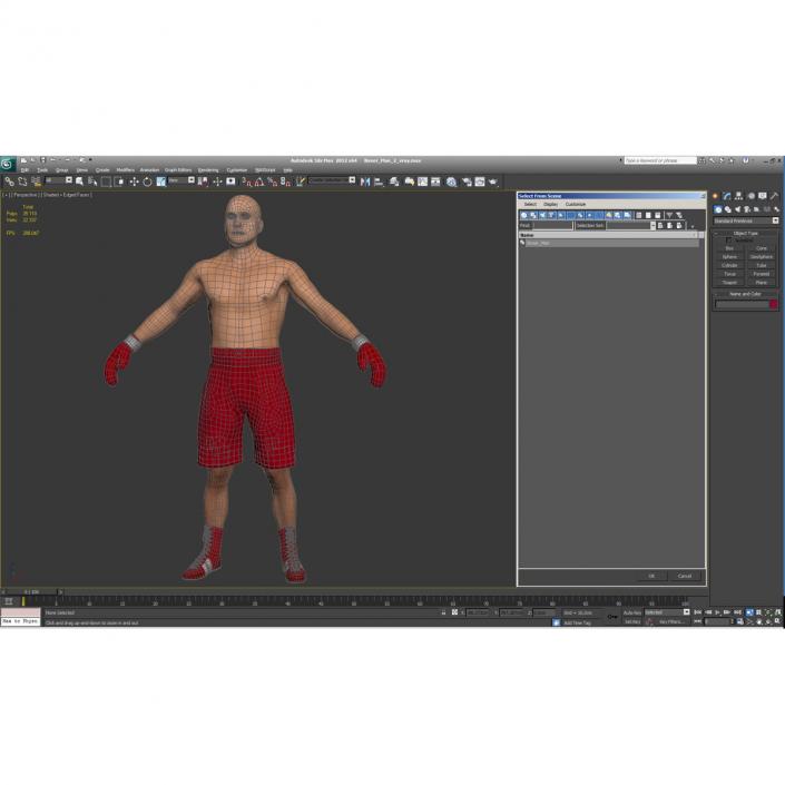 3D Boxer Man 2