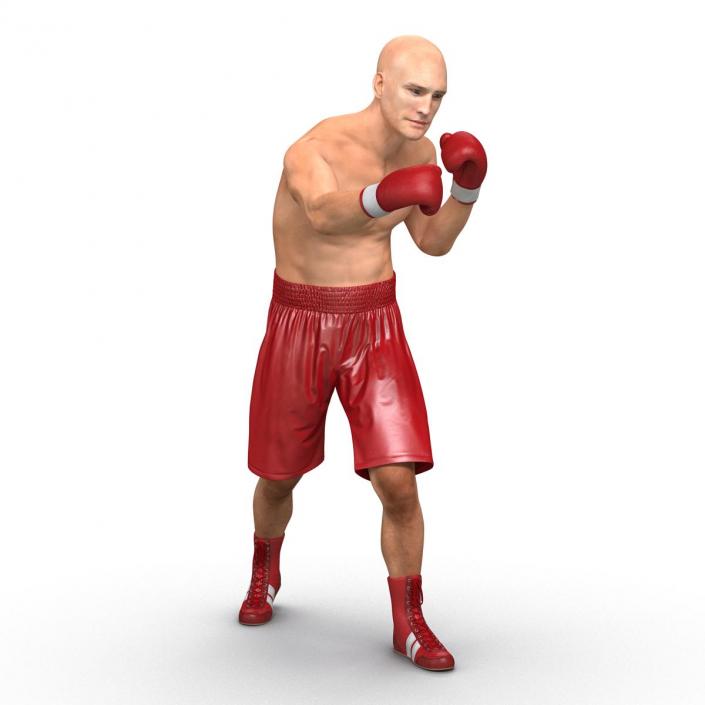 3D Boxer Man Pose 3