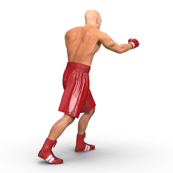 3D Boxer Man Pose 3