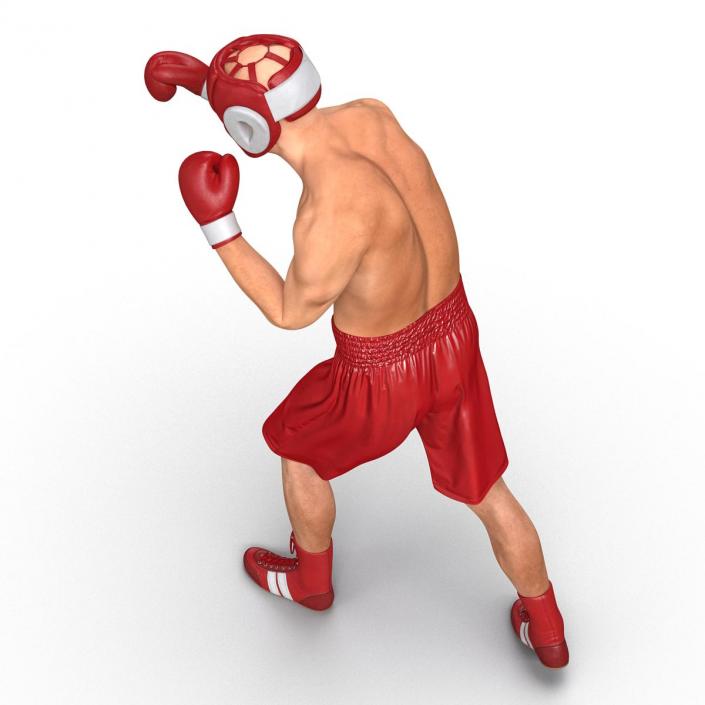 3D Boxer Man Pose 3