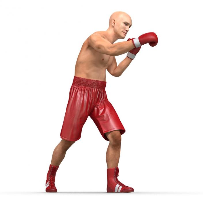 3D Boxer Man Pose 3