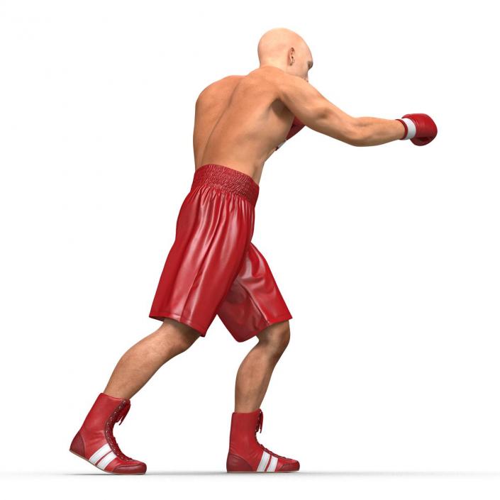 3D Boxer Man Pose 3