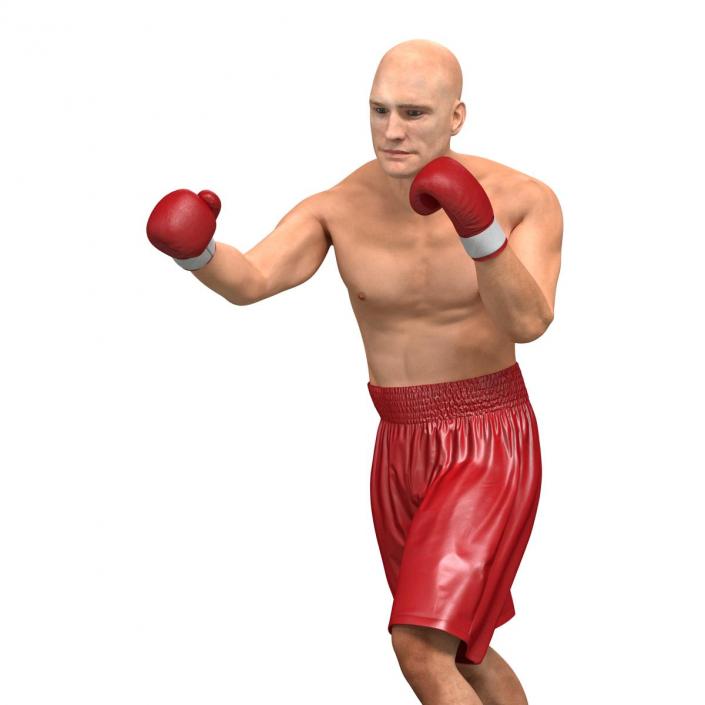 3D Boxer Man Pose 3