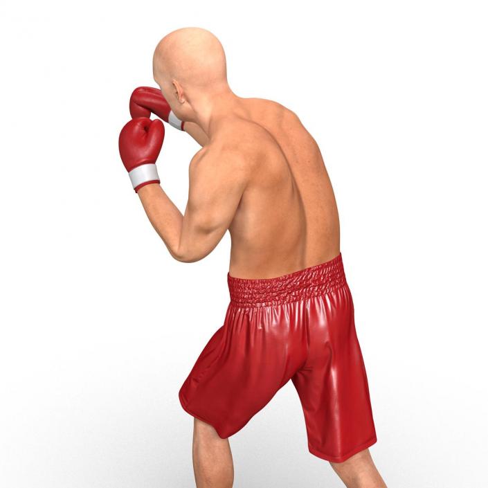 3D Boxer Man Pose 3