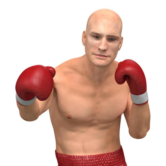 3D Boxer Man Pose 3