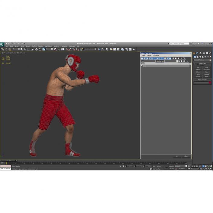 3D Boxer Man Pose 3