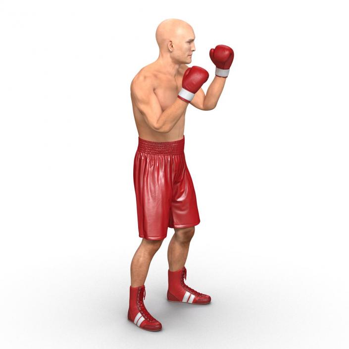 3D Boxer Man 2 Pose 2 model