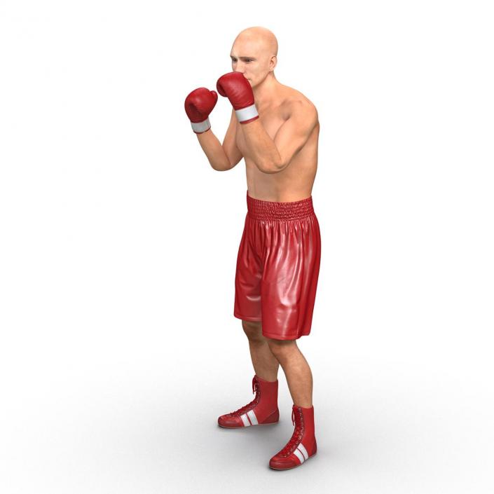 3D Boxer Man 2 Pose 2 model