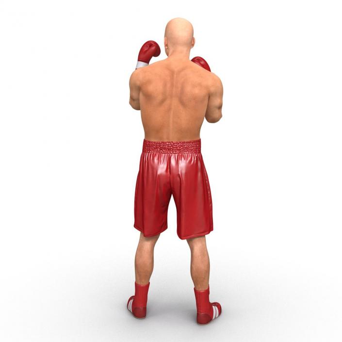 3D Boxer Man 2 Pose 2 model