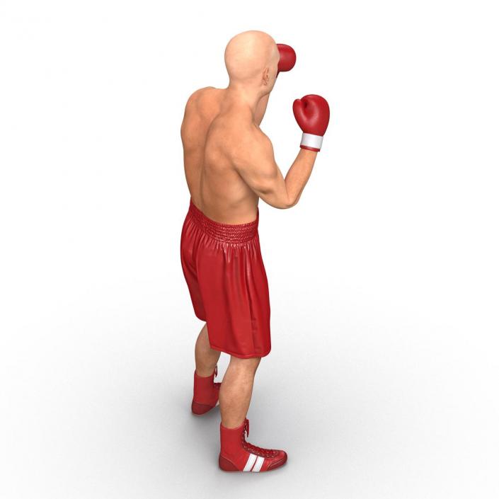 3D Boxer Man 2 Pose 2 model