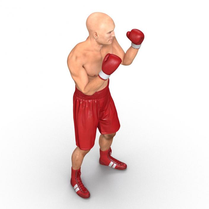 3D Boxer Man 2 Pose 2 model