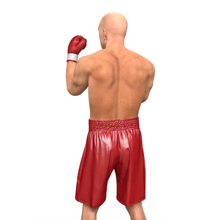 3D Boxer Man 2 Pose 2 model