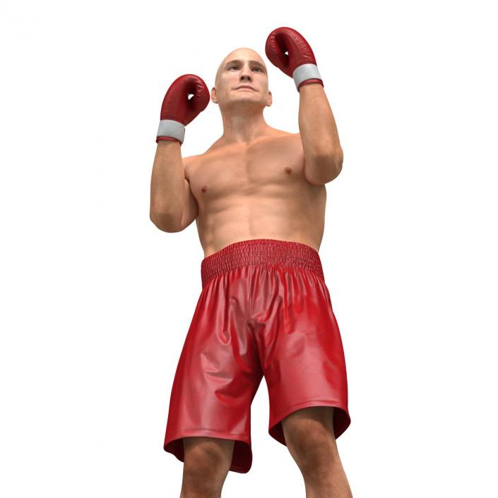 3D Boxer Man 2 Pose 2 model