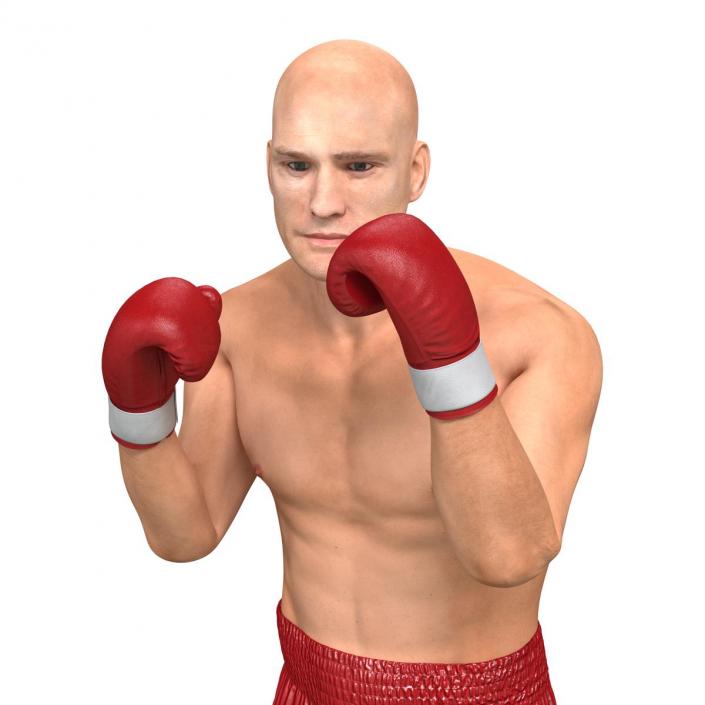 3D Boxer Man 2 Pose 2 model