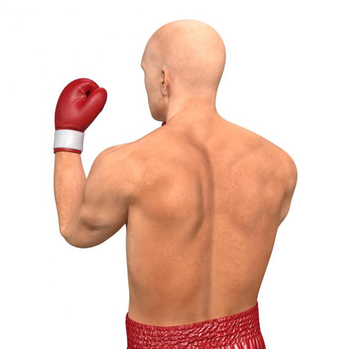 3D Boxer Man 2 Pose 2 model