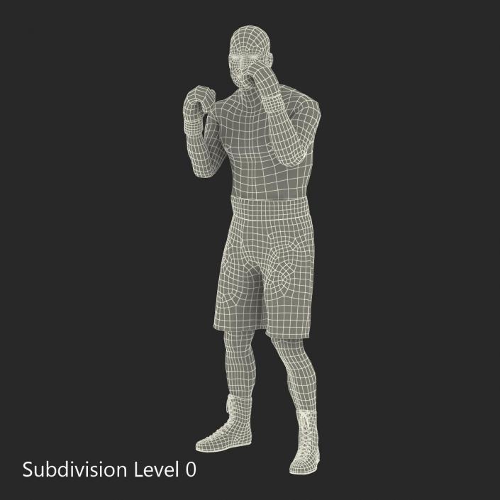 3D Boxer Man 2 Pose 2 model