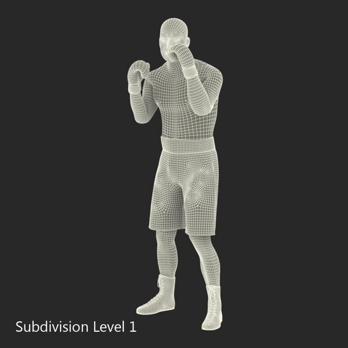 3D Boxer Man 2 Pose 2 model