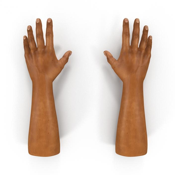 3D African Man Hands 2 Rigged