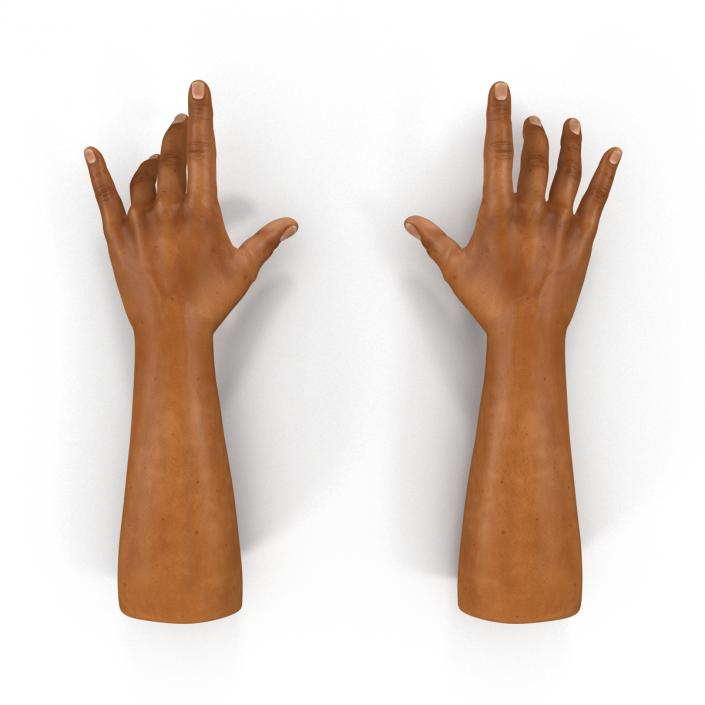 3D African Man Hands 2 Rigged