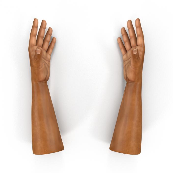 3D African Man Hands 2 Rigged